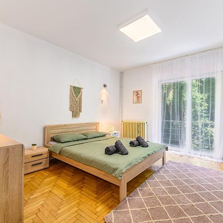 C Alex Appartement Braşov Buitenkant foto