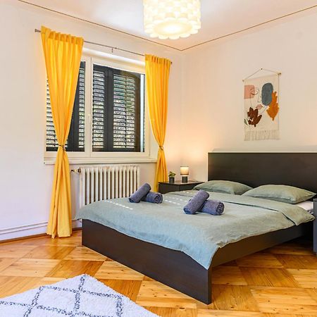 C Alex Appartement Braşov Buitenkant foto