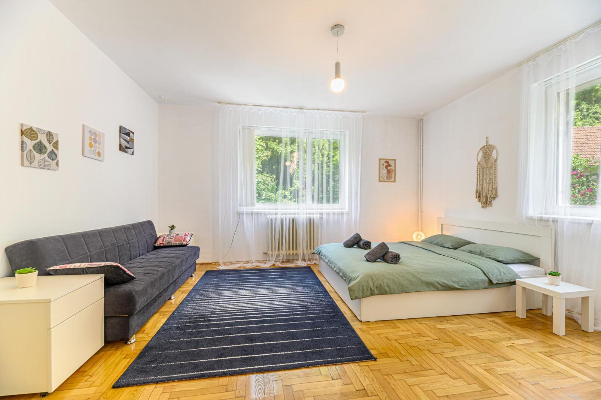 C Alex Appartement Braşov Buitenkant foto