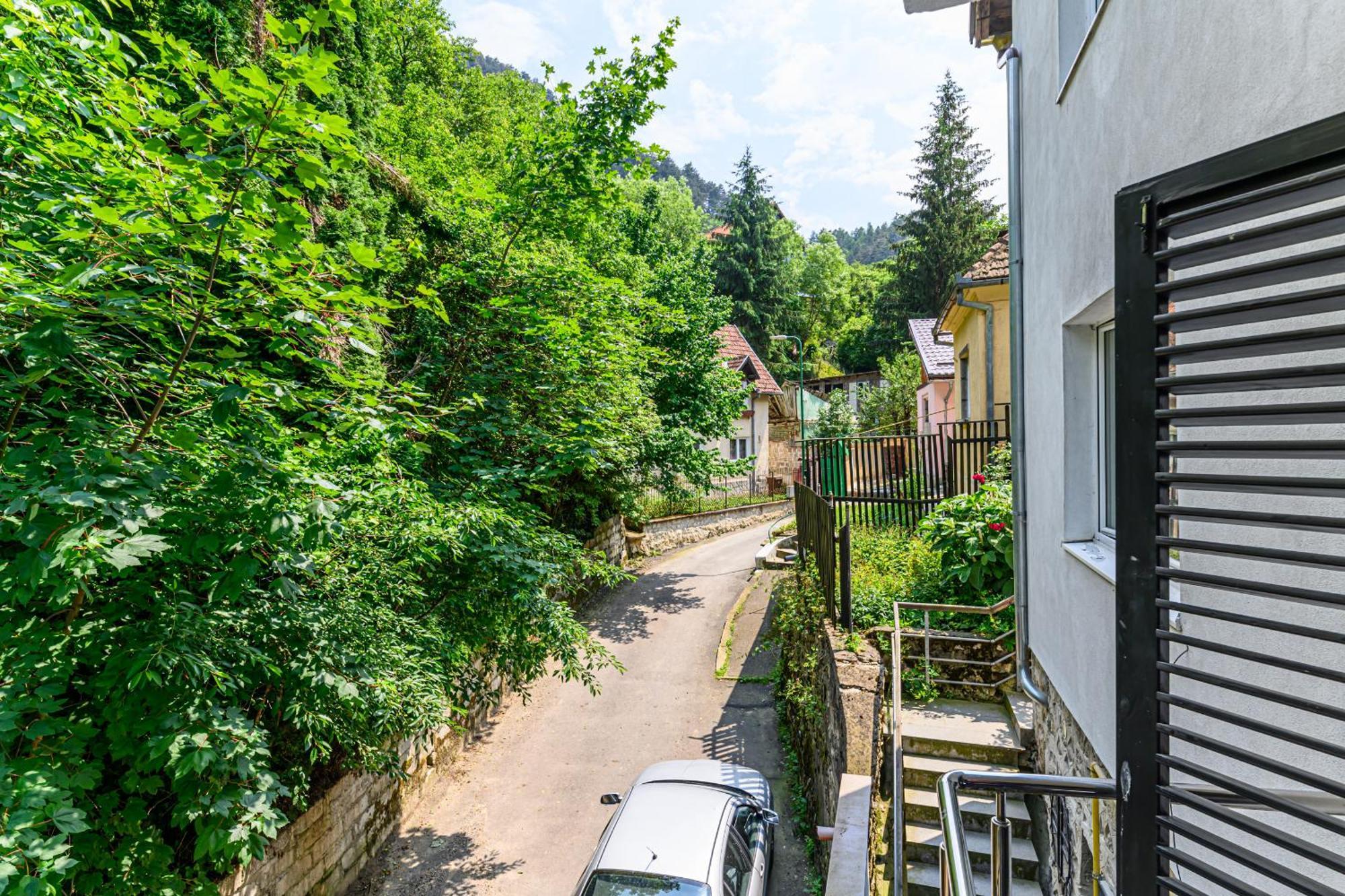 C Alex Appartement Braşov Buitenkant foto